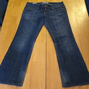 Vigoss Dark Blue Flare Jeans